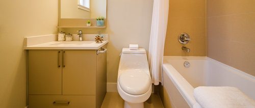 comparison guide 1 One-piece Toilet