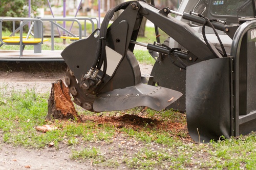 comparison guide 1 Stump Grinding