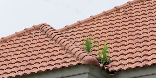 Tile Roofs Repair And Installation