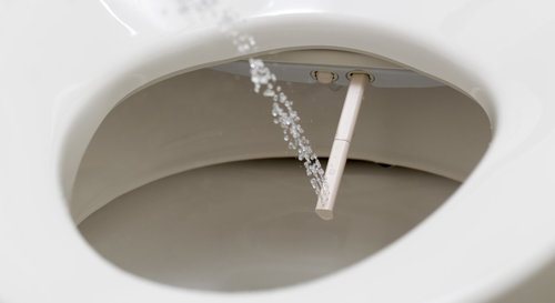 Washlet Vs Bidet Pros Cons Comparisons And Costs