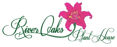 River Oaks Plant House is one Houston’s favorite topiary and flower shops! Whether you are looking for beautiful wedding flowers arranged by a master wedding florist or you require same day flower delivery, our team is more than happy to assist you.